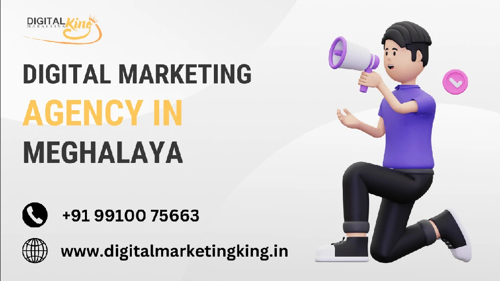Digital Marketing Agency in Meghalaya