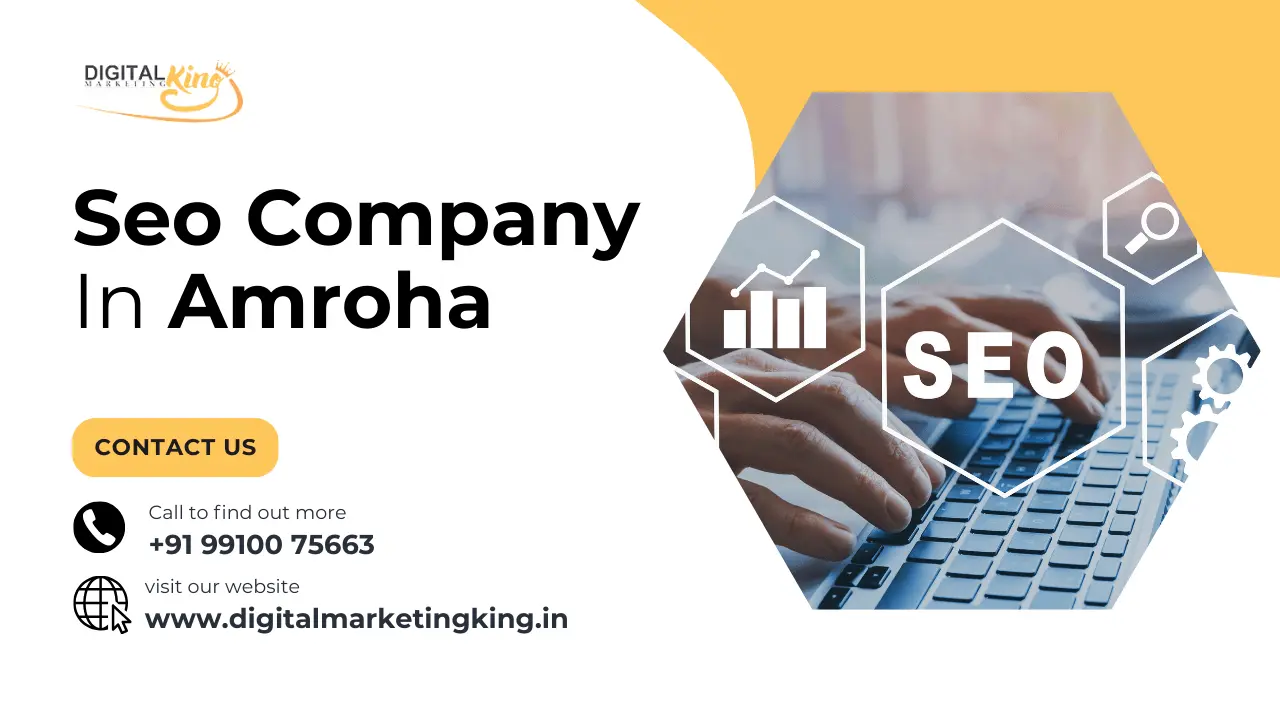 SEO Company in Amroha