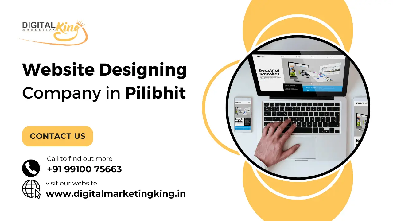 Website Designing Company in Pilibhit