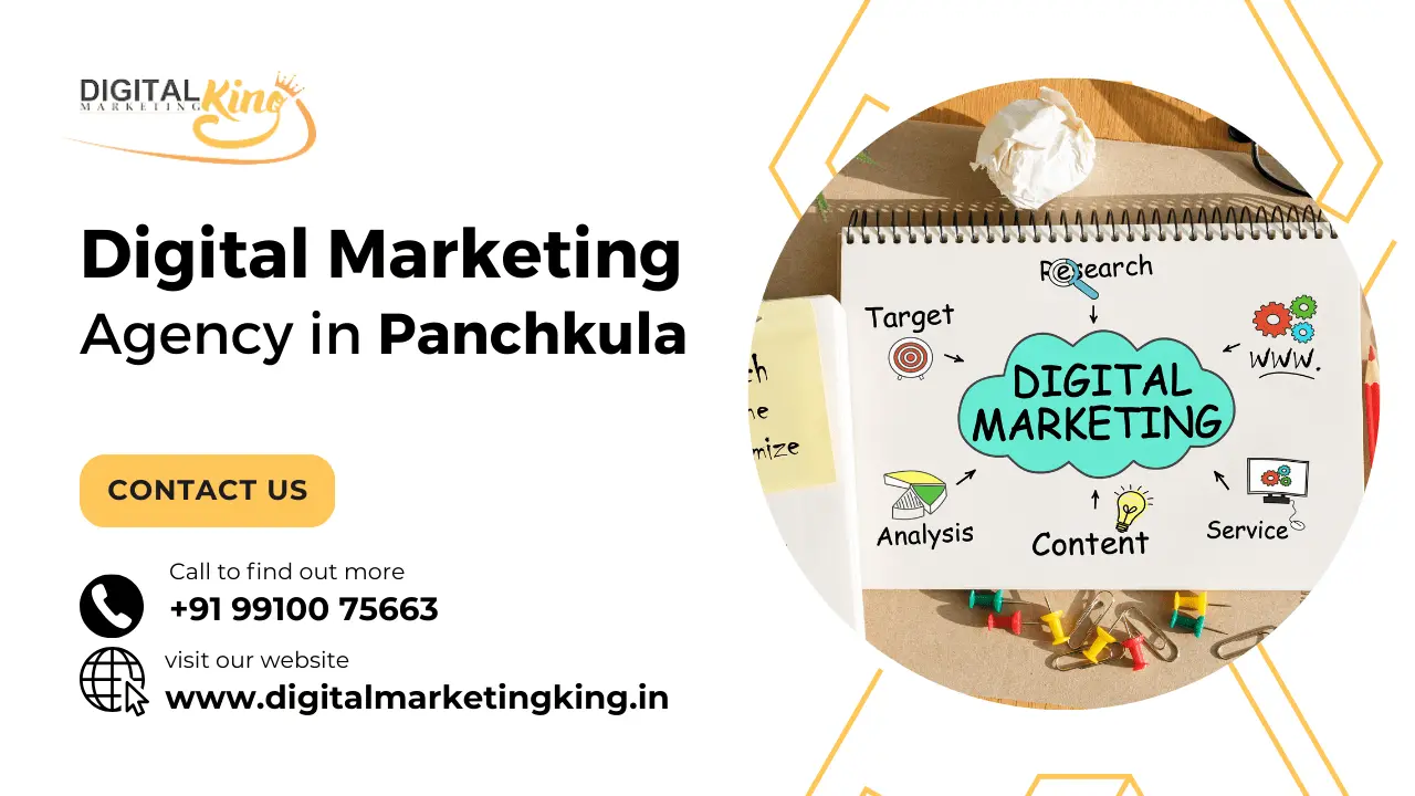 Digital Marketing Agency in Panchkula