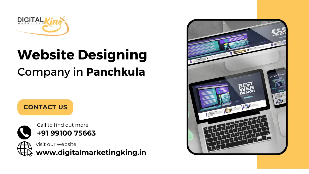 Website Designing Company in Panchkula