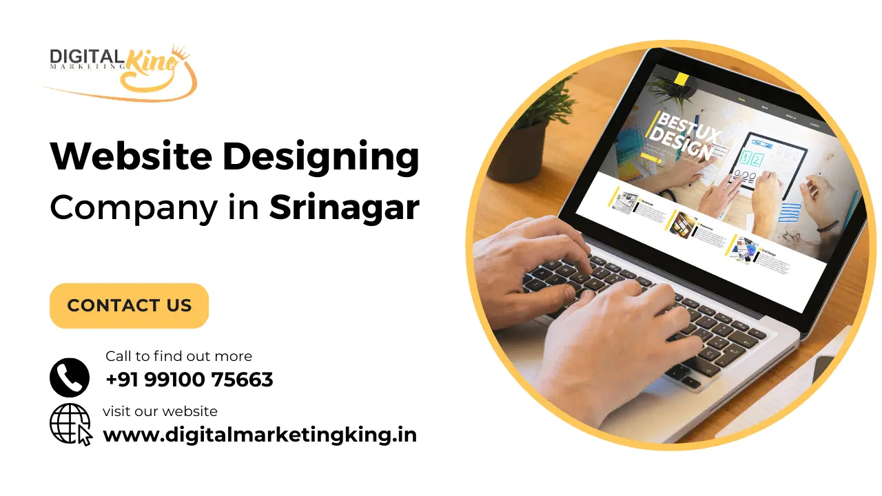 Website Designing Company in Srinagar