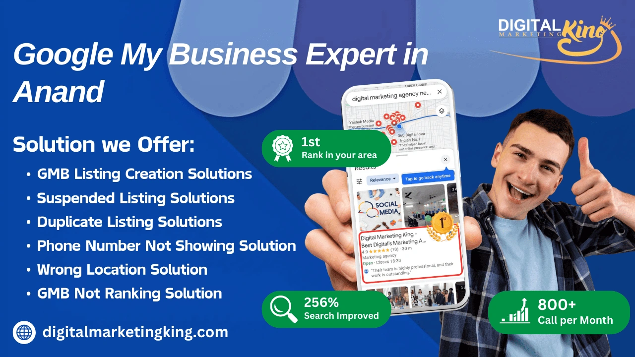 Google My Business Expert in Anand