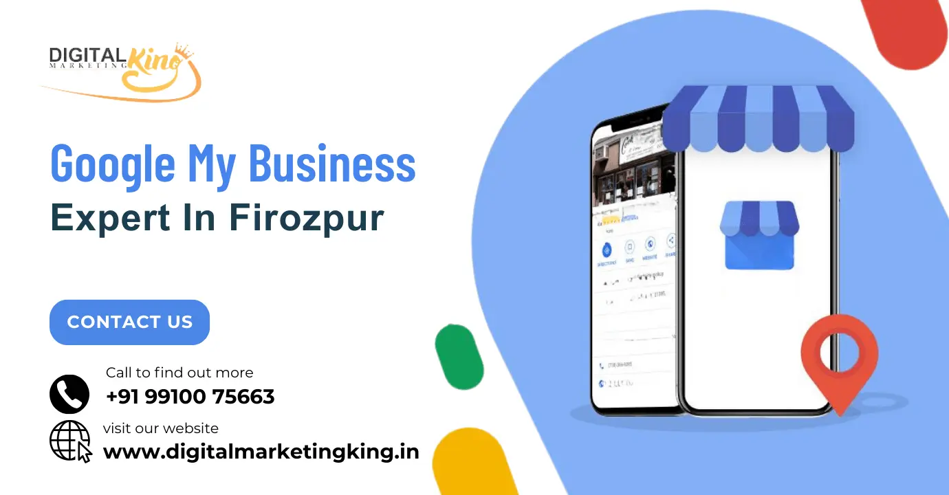 Google My Business Expert in Firozpur