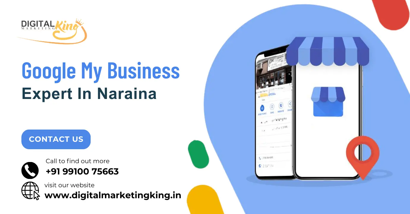 Google My Business Expert in Naraina