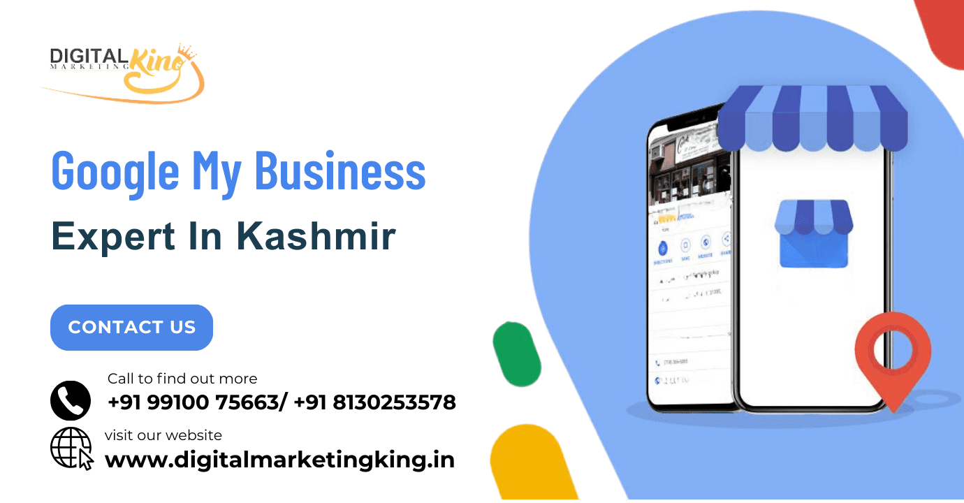 Google My Business Expert in Kashmir